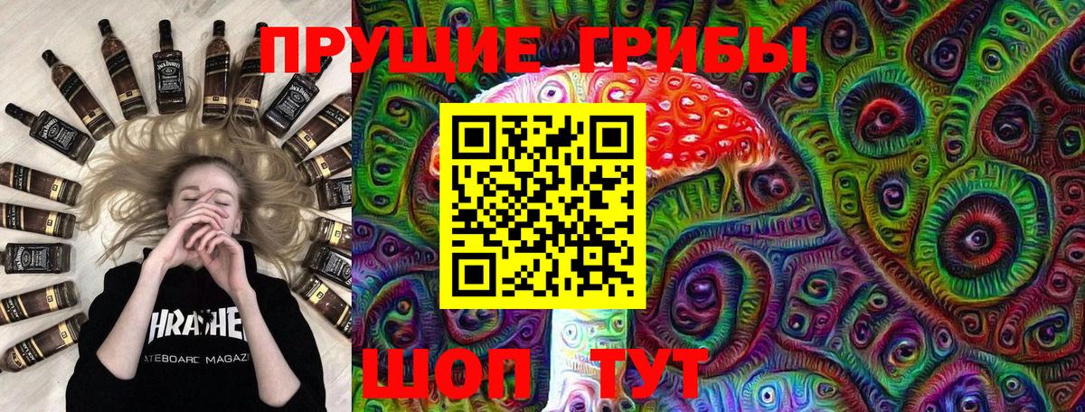 Псилоцибиновые грибы мицелий Удомля