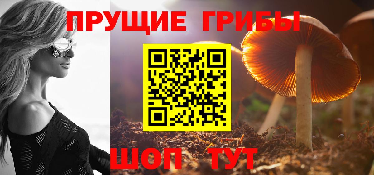продажа наркотиков  Псилоцибиновые грибы GOLDEN TEACHER  Удомля  Вход с VPN  Псилоцибиновые грибы мухоморы 