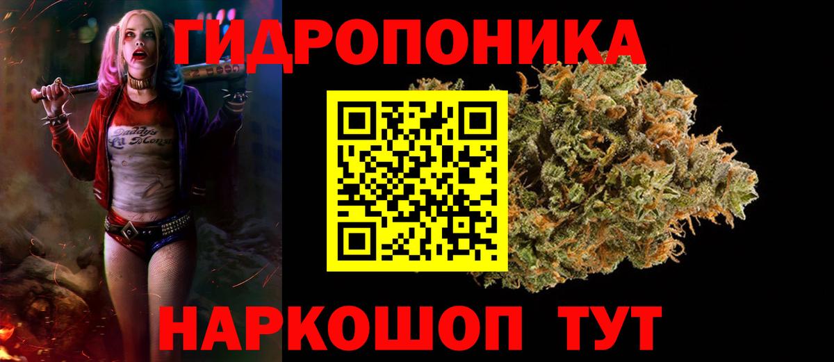 МАРИХУАНА гибрид  Бошки Шишки семена  Удомля  Вход с VPN  Шишки марихуана ГИДРОПОН  Марихуана конопля 